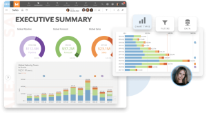 Executive summary screnshot